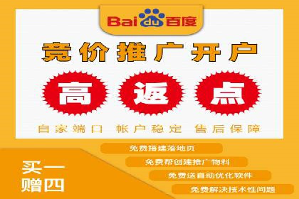 SEM服务公司助力品牌崛起案例