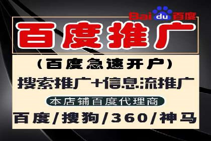 谷歌竞价策略：如何避免广告欺诈